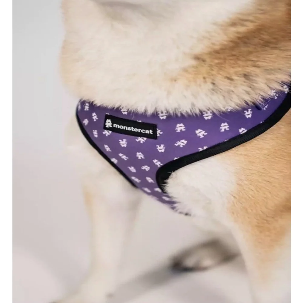 Monstercat Pet Harness 3 Piece Set Leash Collar Harness Size Small Dog NEW